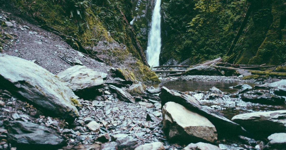 The Streaming Wars in 2026: Which Platforms Are Actually Worth Your Money?