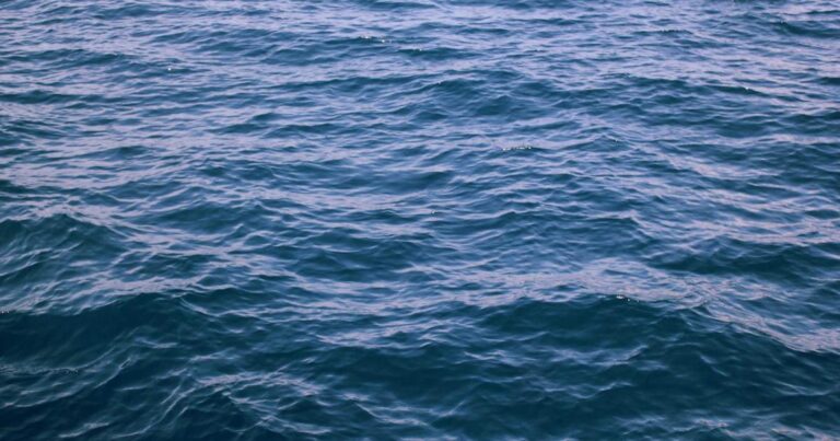 Sydney vs Brisbane 2026: Which Australian City Should You Actually Choose?