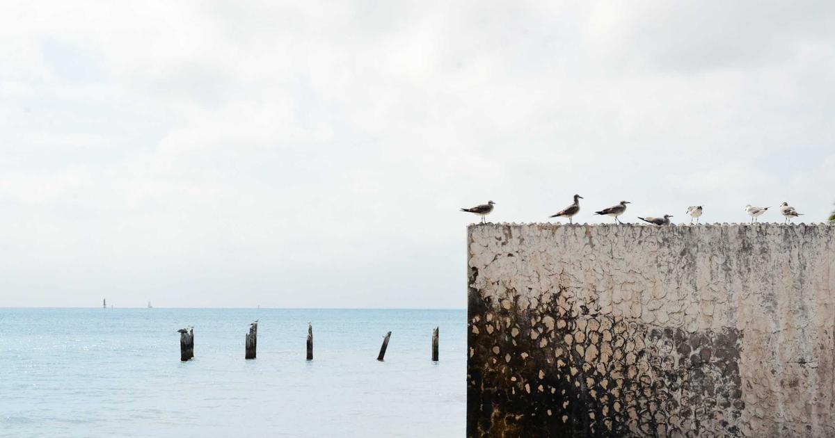 KJ Simpson in 2026: The Denver Broncos' Rising Star and Why He's the NFL's Most Exciting Young QB