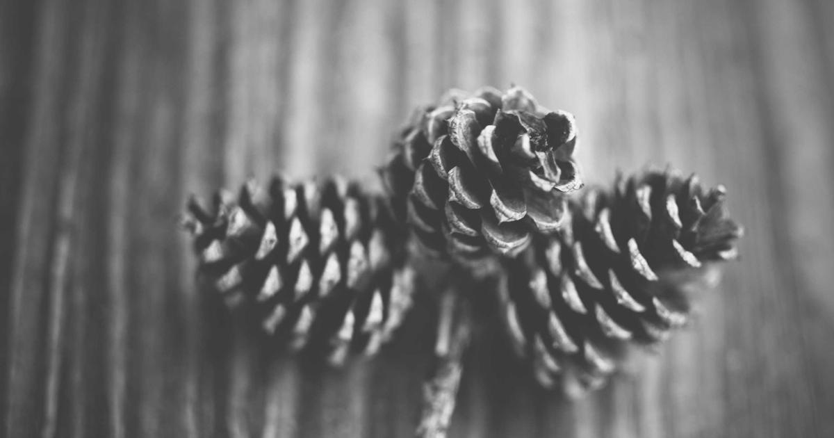 This Week in Tech—March 2026's Wild Ride