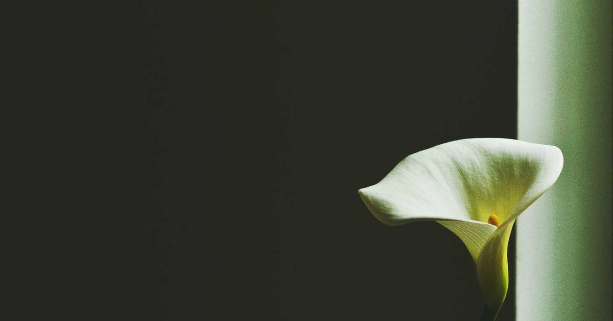 Is John Thune Shaping Tech's Future in 2026?