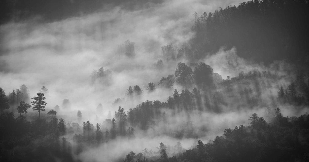 I Examined Tilly Norwood's AI for 2026 — My Take