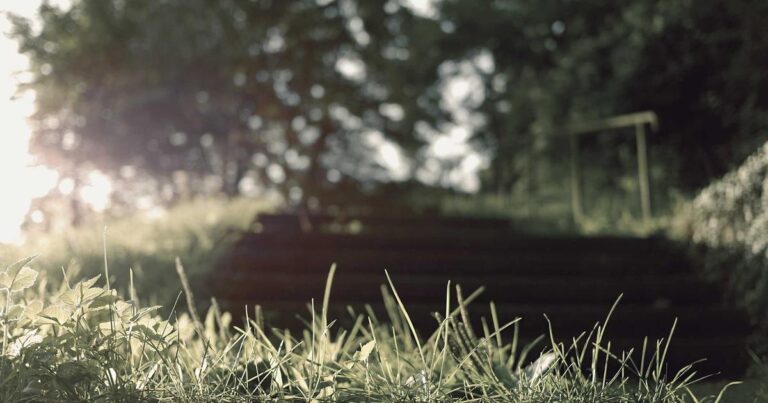 Cashback & Rewards Cards in 2026—My Expert Picks