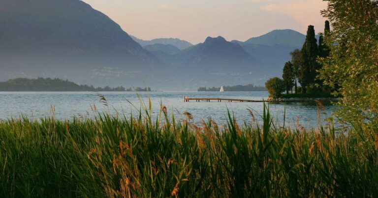 The Out and Out Truth About Our Fiber Optic Strands in 2026