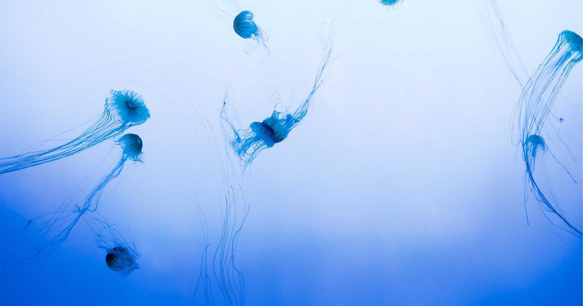 March 2026 Tech Tips You Can't Afford to Miss