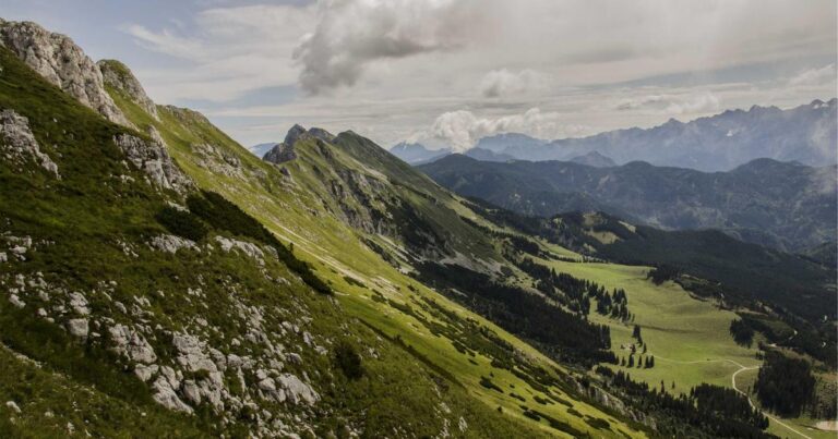 Jose Delgado's Shadow—The BCI Ethics of 2026