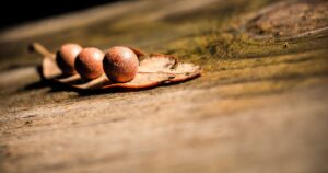 How to Recession-Proof Your Investments for 2026