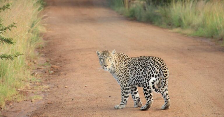 Billy Porter's Tech Influence – AI, Digital Fashion, and Advocacy
