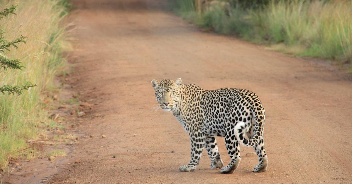 Billy Porter's Tech Influence – AI, Digital Fashion, and Advocacy