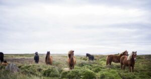 Cybersecurity in 2026 — What's Changed and What to Expect