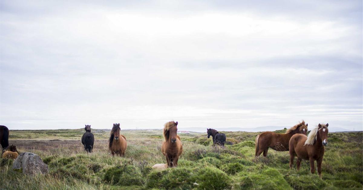 Cybersecurity in 2026 — What's Changed and What to Expect