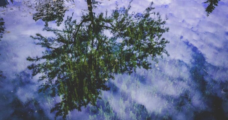 Urban Gardening's Mainstream Ascent – A 2026 Perspective