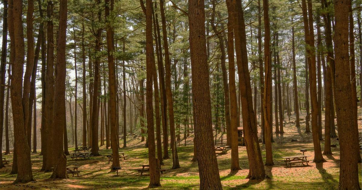 ONDS Stock Outlook 2026 – Industrial IoT and Drone Market Dynamics