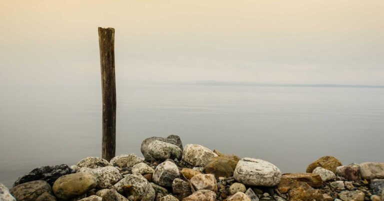 Gig Economy in 2026 — Opportunities and Challenges for Workers