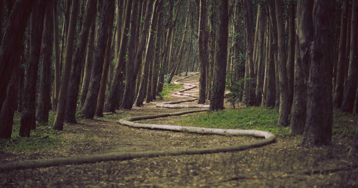 CRISPR Gene Editing 2026 – From Lab to Real-World Medicine