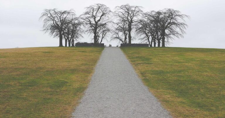 Iowa vs. Oklahoma State Wrestling: The 2026 Showdown – A Deep Dive into College Wrestling's Most Storied Rivalry