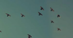 The Unseen Threat Below: What 2026 Reveals About Earthquake Resilience and Our Future