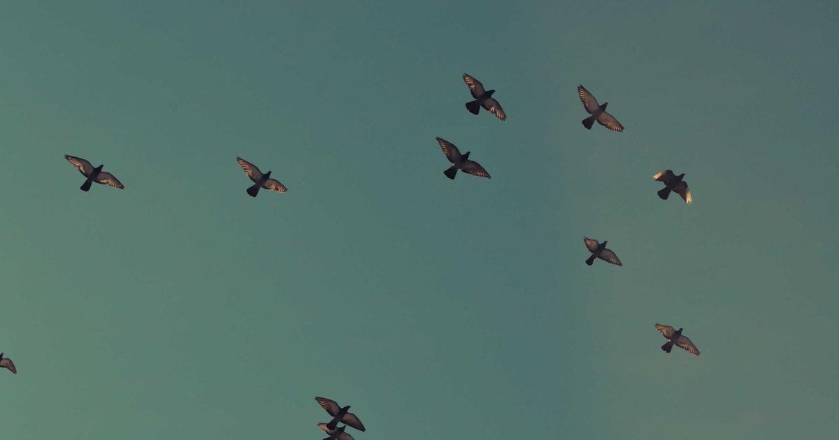 The Unseen Threat Below: What 2026 Reveals About Earthquake Resilience and Our Future