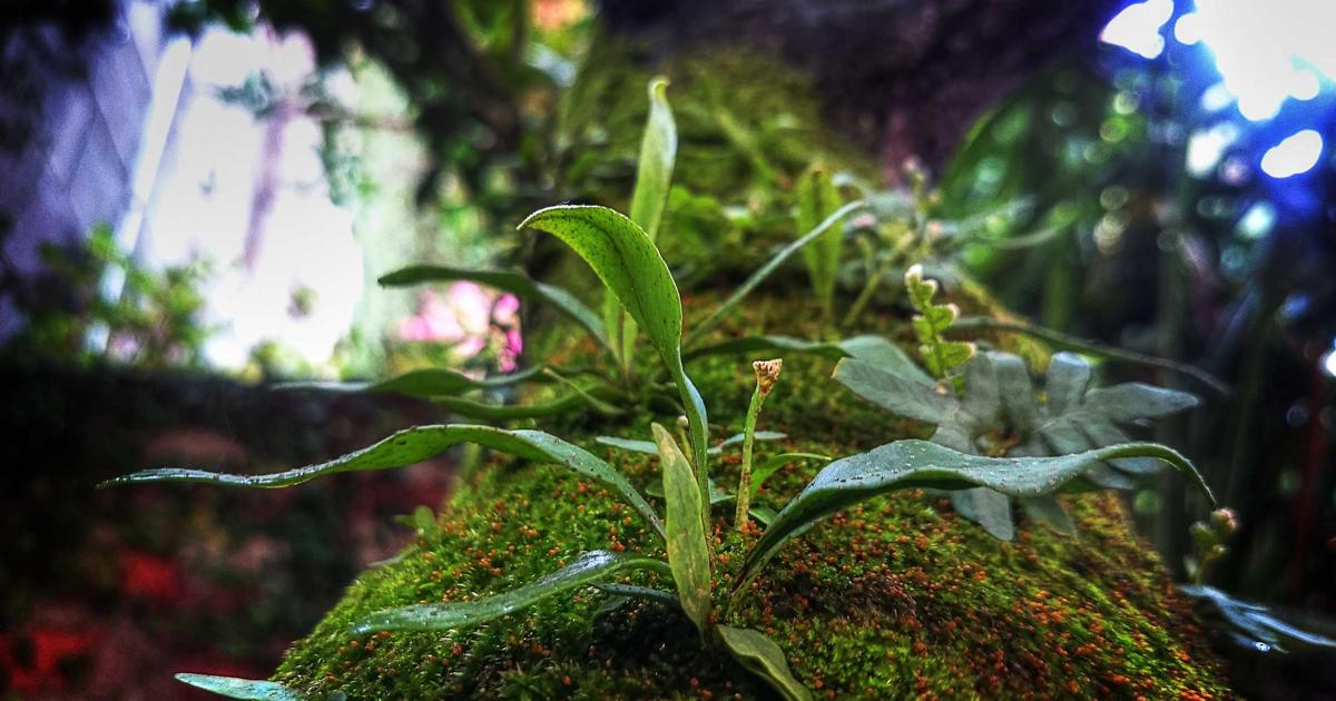 The 7 Most Dangerous Cybersecurity Threats of 2026 (And How to Actually Protect Yourself)