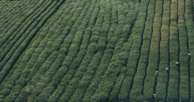 The New Space Race Is Here: Why 2026 Is the Most Pivotal Year in Space Exploration History