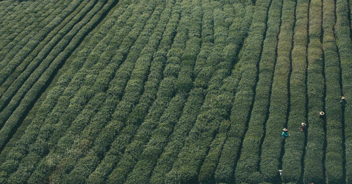 The New Space Race Is Here: Why 2026 Is the Most Pivotal Year in Space Exploration History