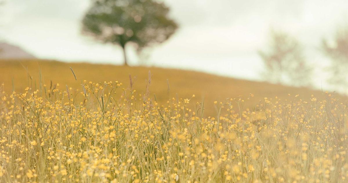 March 2026 Tech Tsunami: Your Essential Guide to Navigating the AI & Spatial Computing Revolution