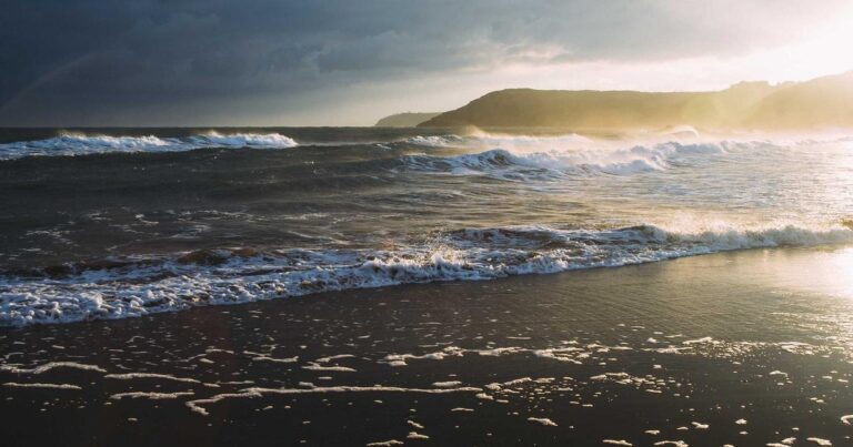 Crimson Tide's Championship Quest: Unpacking Alabama Basketball's March Madness Hopes in 2026