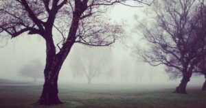 MacBook Air M5 vs. M4 (2026): The Real Upgrade You Actually Need – Or Just More Hype?