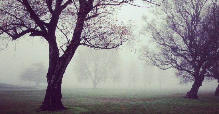 MacBook Air M5 vs. M4 (2026): The Real Upgrade You Actually Need – Or Just More Hype?