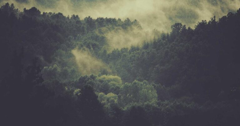 The AI Agent Mirage: Why Enterprise Deployments Are Still Crashing in 2026