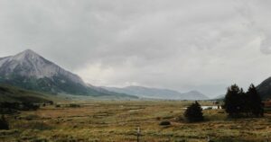 The DeepSeek Effect: How a Chinese AI Startup Shook Silicon Valley to its Core (2026 Edition)