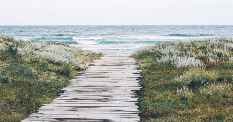 The $500 Sweet Spot: Best Budget Smartphones in March 2026 (Alex Chen's No-Nonsense Guide)