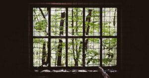 Beyond the Bench Press: 5 Outdoor Exercises Proven to Supercharge Your Mental Health in 2026