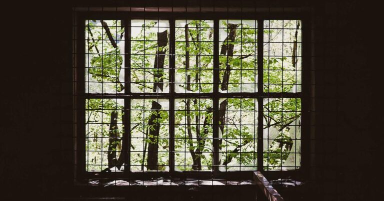 Beyond the Bench Press: 5 Outdoor Exercises Proven to Supercharge Your Mental Health in 2026