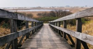 The Longevity Gender Gap: Why Women's Health is Finally Getting Serious Funding in 2026