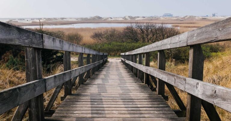 The Longevity Gender Gap: Why Women's Health is Finally Getting Serious Funding in 2026