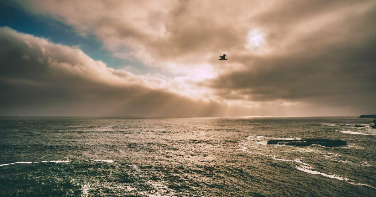 The First Week of March 2026: AI's Appetite, Vision Pro's Reality, and Green Tech's Grin