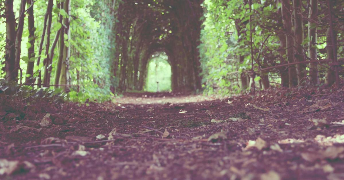 Beyond the Hype: My 2026 Tech Predictions That Are Already Rocking Our World