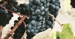 Housing Market Predictions 2026: The "Perfect Time" Myth and When You Should Actually Buy