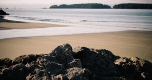 Walking 10,000 Steps in 2026: Is It Still the Magic Number for Your Health?