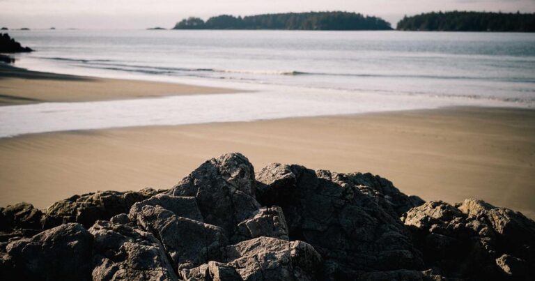 Walking 10,000 Steps in 2026: Is It Still the Magic Number for Your Health?