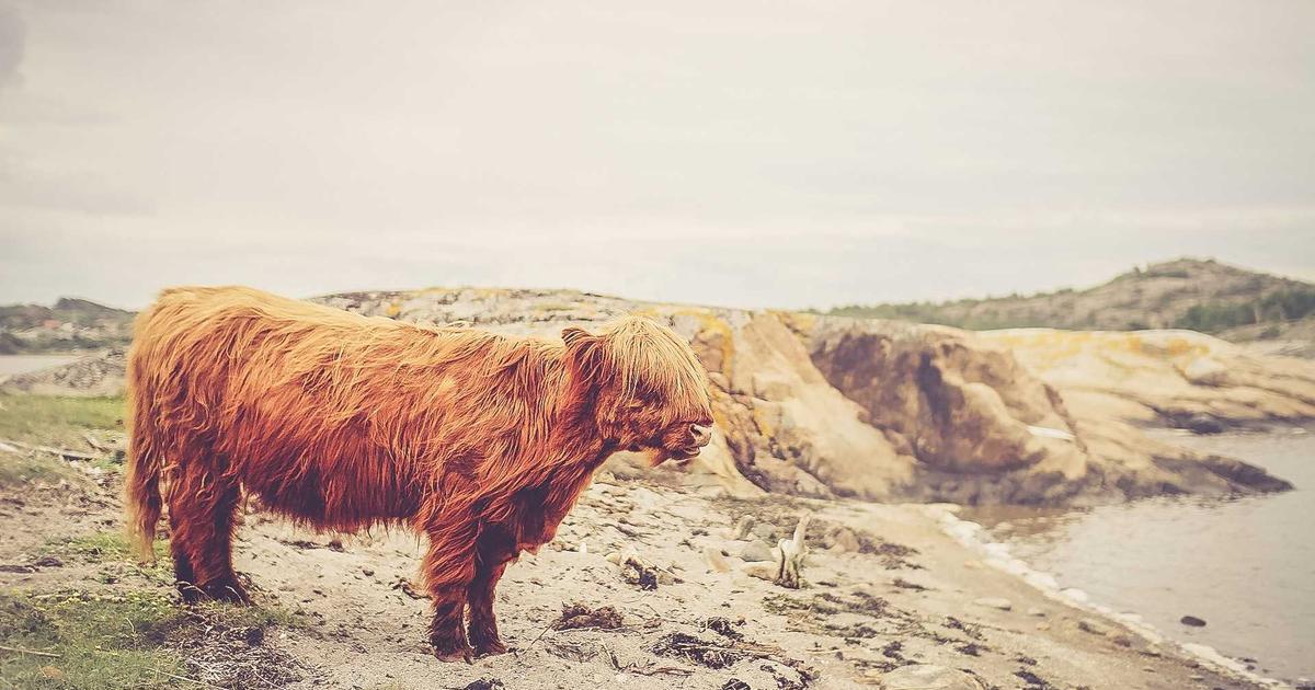 March 2026 Tech Recap: AI Gets Personal, AR Gets Real, and Our Wallets Get Lighter