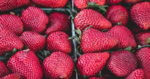 Beyond the Baseline: What Tamara Zidanšek's Relentless Drive Teaches Tech in 2026