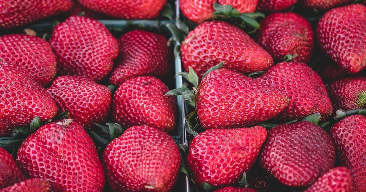 Beyond the Baseline: What Tamara Zidanšek's Relentless Drive Teaches Tech in 2026