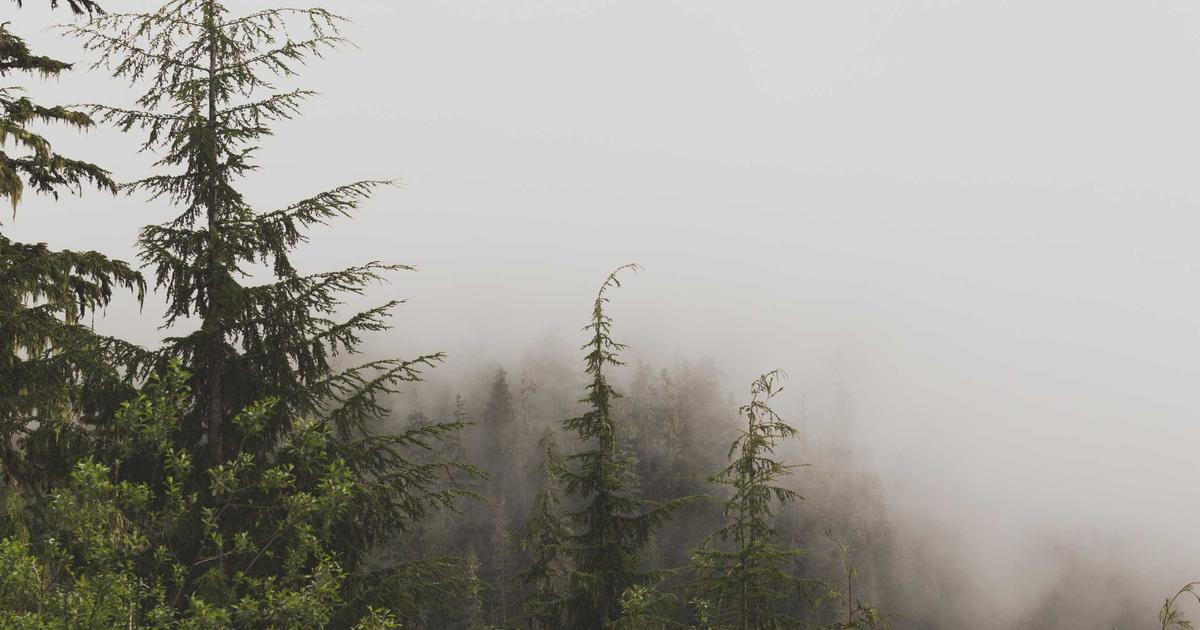 The Great Housing Head-Scratcher: Renting vs. Buying in 2026 – The Math Just Got Wild