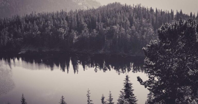 2026's AI Achilles' Heel? This 1v1 Coding Game Is Making LLMs Sweat