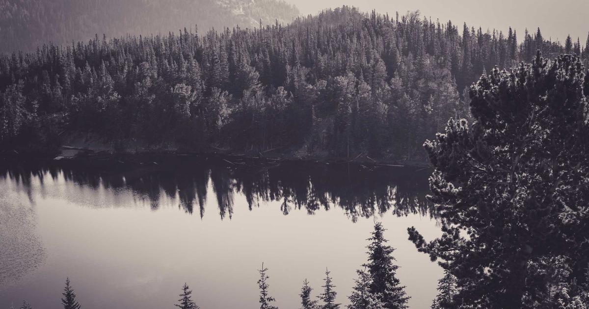 2026's AI Achilles' Heel? This 1v1 Coding Game Is Making LLMs Sweat