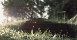 Your Gut Feeling Was Right: Why the Colonoscopy Screening Age Dropped to 45 in 2026