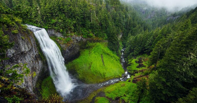 Intermittent Fasting Update 2026: New Research Is Shaking Up Everything We Thought We Knew