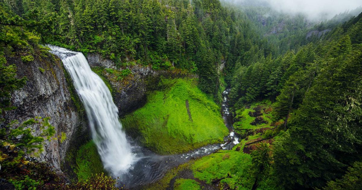 Intermittent Fasting Update 2026: New Research Is Shaking Up Everything We Thought We Knew